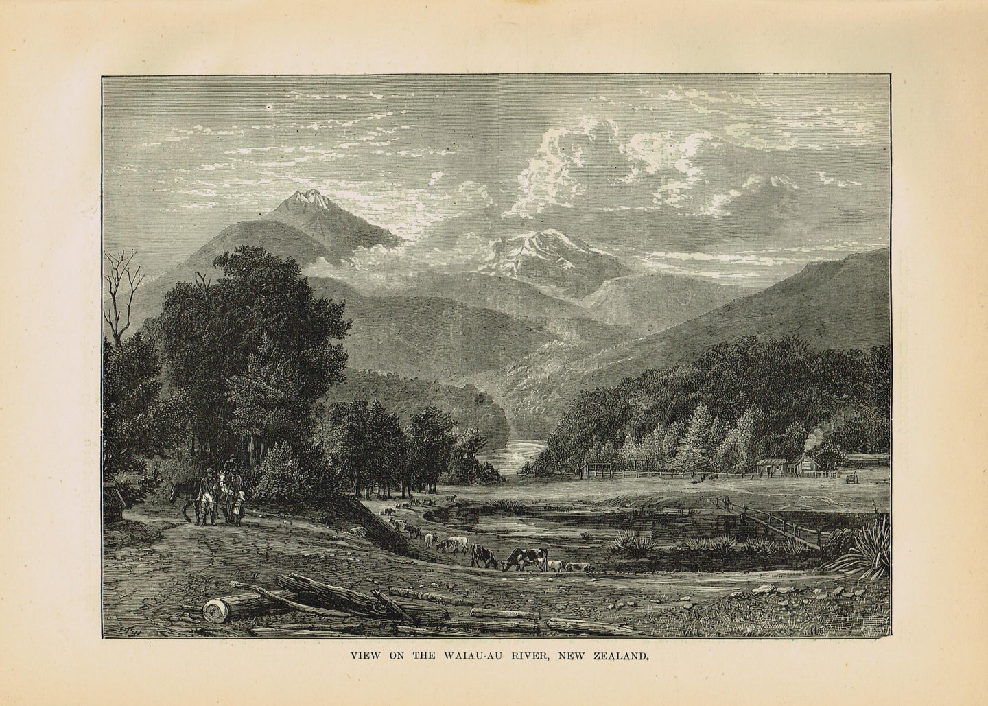 Genuine-Antique-Print-View-on-The-Waiau-au-River-New-Zealand--1881-Robert-Brown-Maps-Of-Antiquity