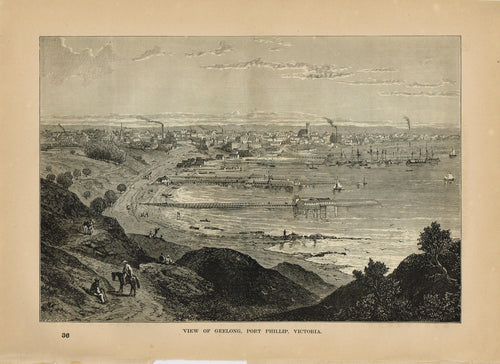 Genuine-Antique-Print-View-of-Geelong-Port-Phillip-Victoria-Australia--1881-Robert-Brown-Maps-Of-Antiquity