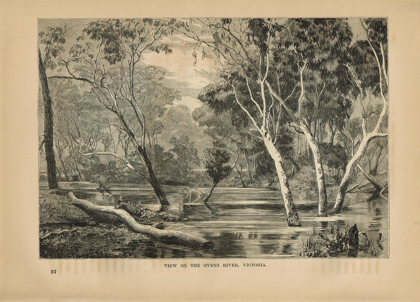 Genuine-Antique-Print-View-of-The-Ovens-River-Victoria-Australia--1881-Robert-Brown-Maps-Of-Antiquity