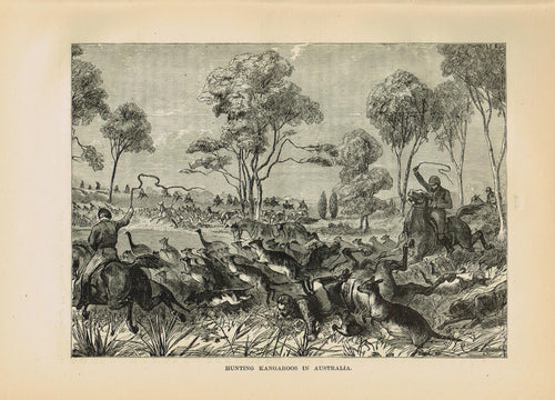 Genuine-Antique-Print-Hunting-Kangaroos-in-Australia--1881-Robert-Brown-Maps-Of-Antiquity