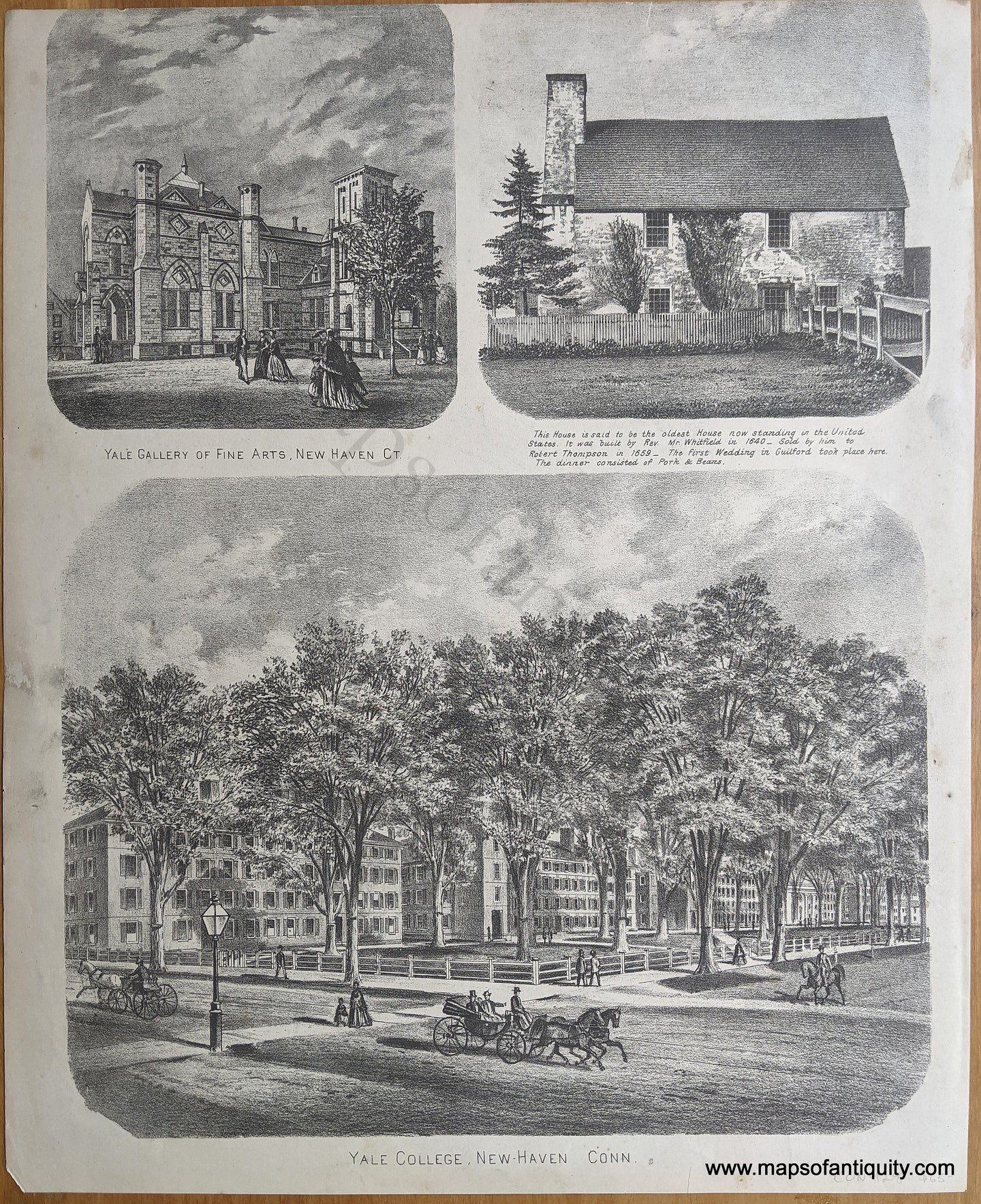 1868 - Yale College, New-Haven Conn., Yale Gallery of Fine Arts, New Haven CT - Antique Print