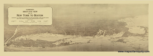 Hammond's-Bird's-Eye-View-Map-of-New-York-to-Boston-Reproduction-Print-