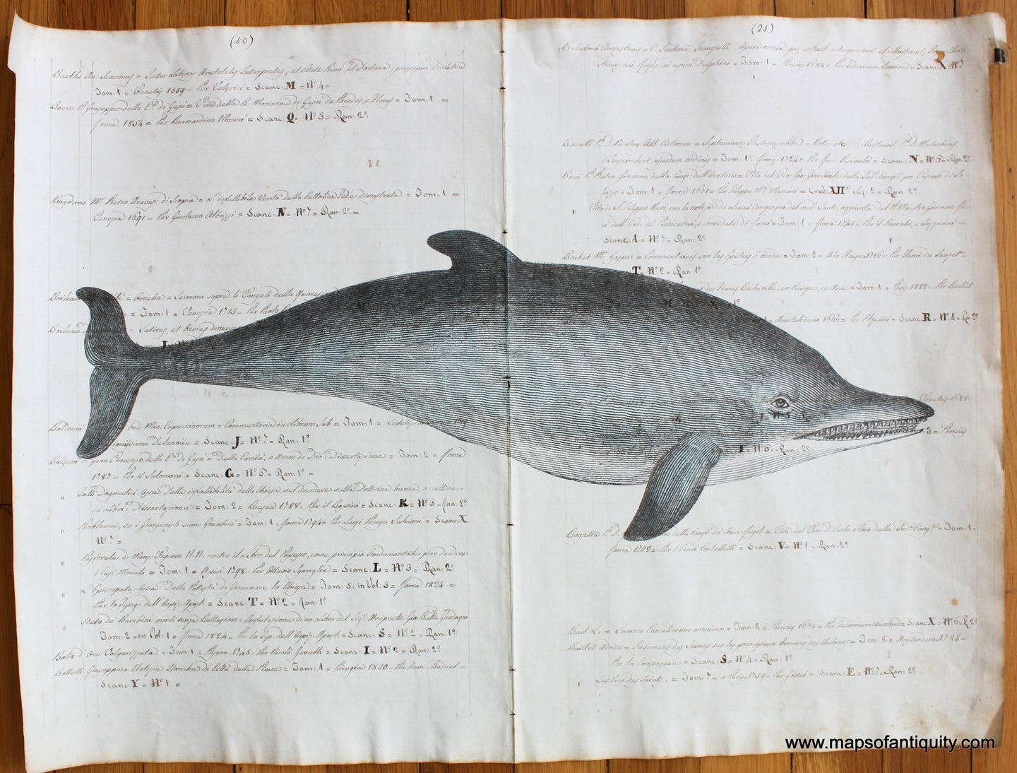 Digitally-Engraved-Specialty-Reproductions-Antique-Ledger-Paper-Dolphin-Dolphins-Print-Prints-Maps-of-Antiquity