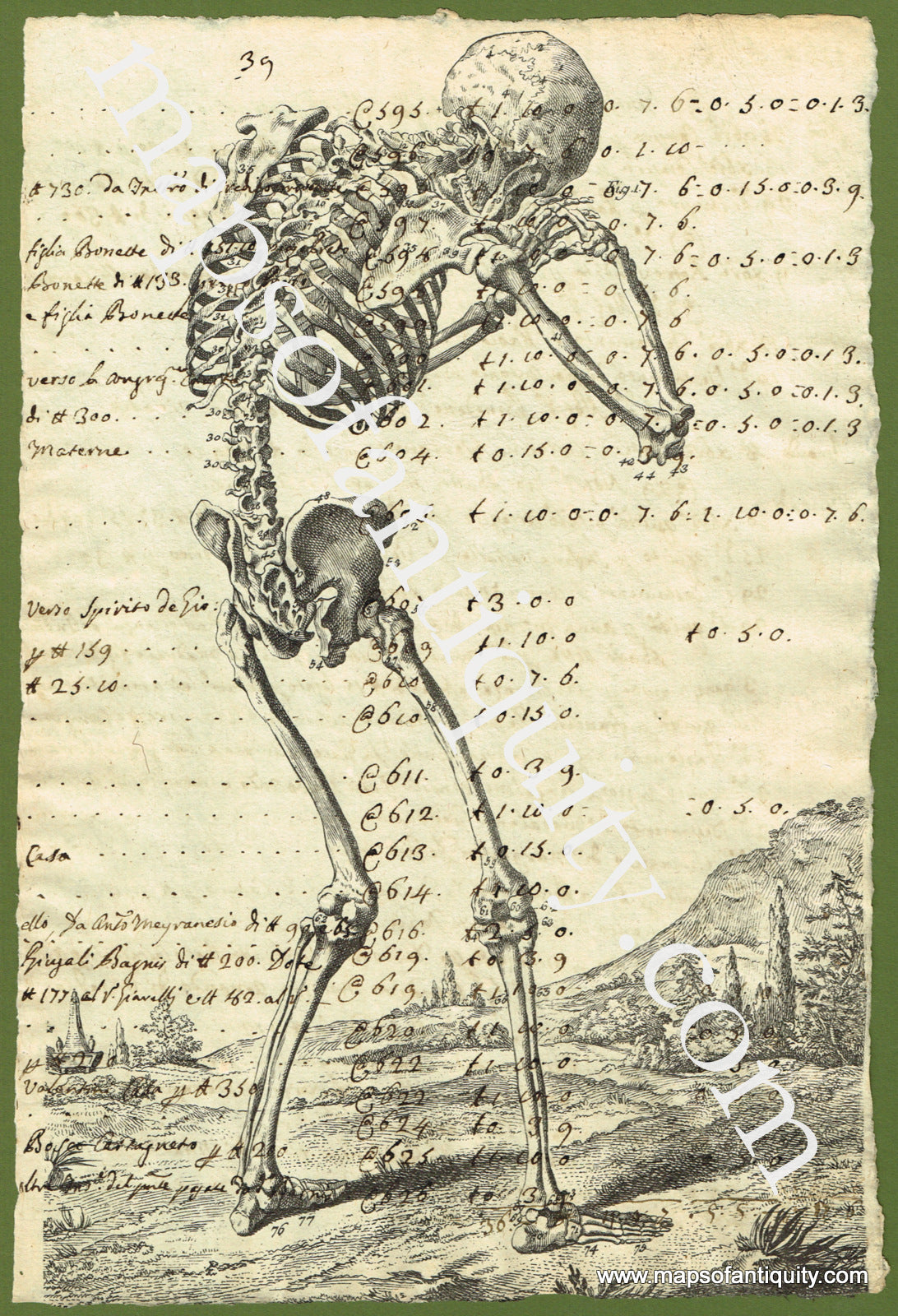 Maps-of-Antiquity-Antique-Ledger-Paper-Print-Digitally-Engraved-Specialty-Reproduction-Illustration-Anatomical-Anatomy-Human-Skeletal-System-Skeleton