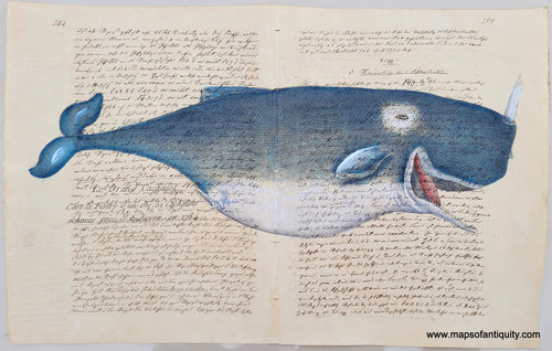 Digitally Engraved Specialty Print Illustration Reproduction Whale Toothed Whales Blue Happy Maps of Antiquity
