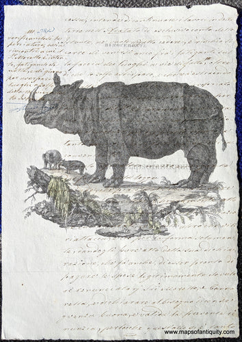 Digitally-Engraved-Specialty-Reproduction-Natural-History-Print-Prints-Rhinoceros-Rhino-Rinoceronte-Reproductions-1800s-19th-century-Maps-of-Antiquity