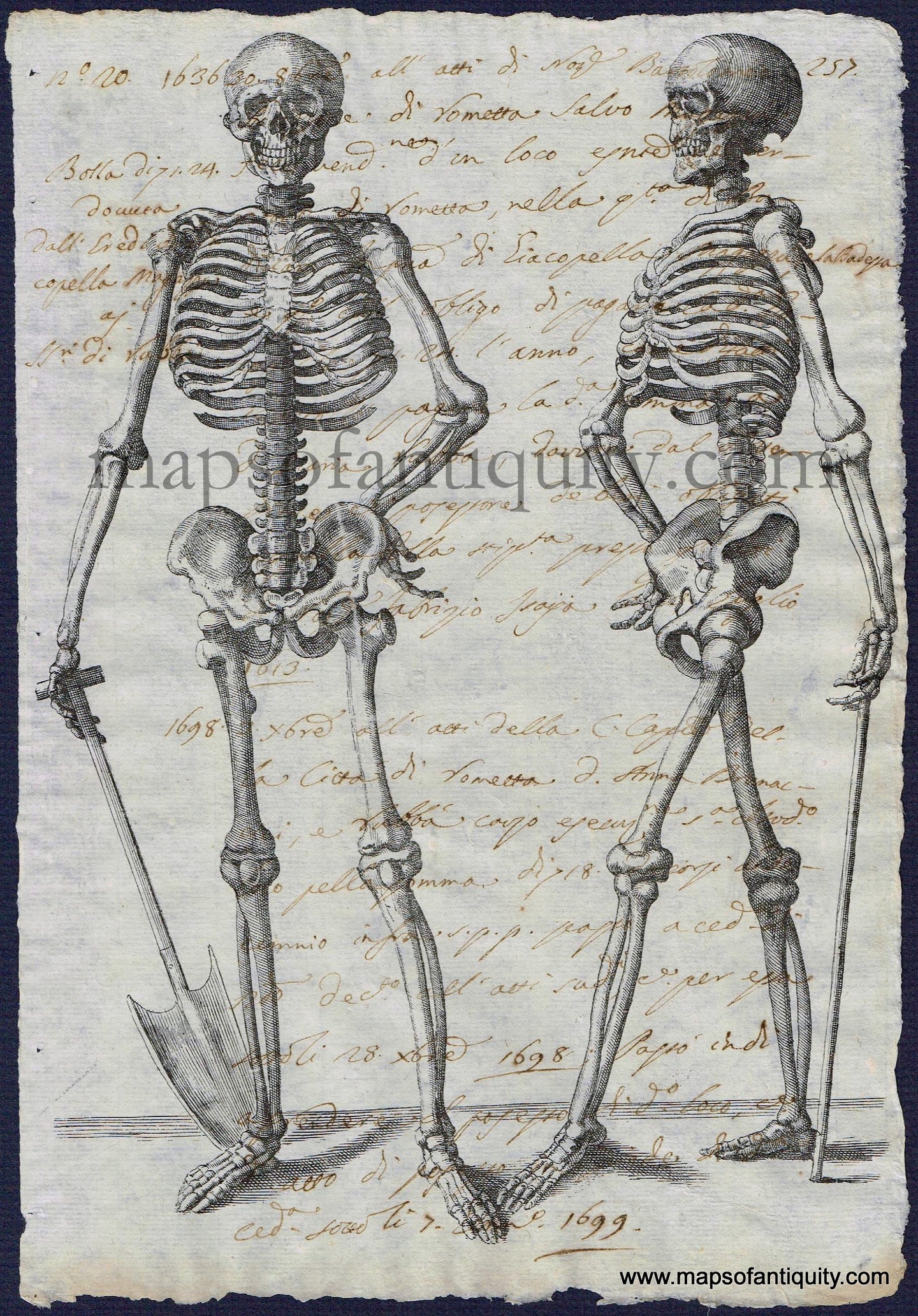 Digitally-Engraved-Specialty-Reproduction-Skeletons-Skeleton-Skeletal-System-Human-Anatomy-Anatomical-Diagram-Diagrams-Print-Prints-Reproductions-on-Antique-Paper-1800s-19th-century-Maps-of-Antiquity