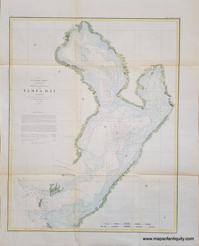 Antique coast chart survey of Tampa Bay Florida FL with sophisticated color along the coast and water, published 1855 by US Coast Survey and sold by Maps of Antiquity. 