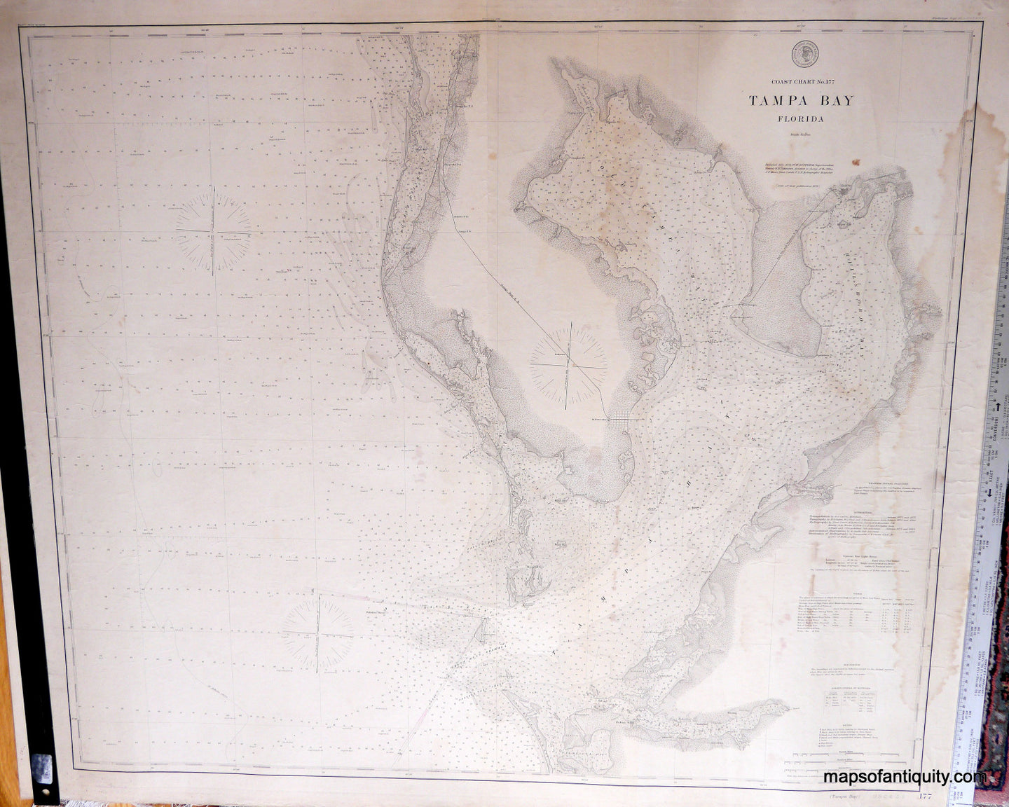 Antique-Nautical-Chart-Coast-Chart-177-Tampa-Bay********-United-States-Florida-1878/1895-U.S.-Coast-and-Geodetic-Survey-Maps-Of-Antiquity