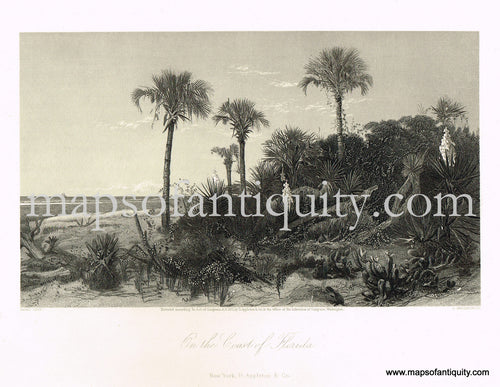 Antique-Black-and-White-Engraved-Illustration-On-the-Coast-of-Florida-United-States-South-1872-Picturesque-America-Maps-Of-Antiquity