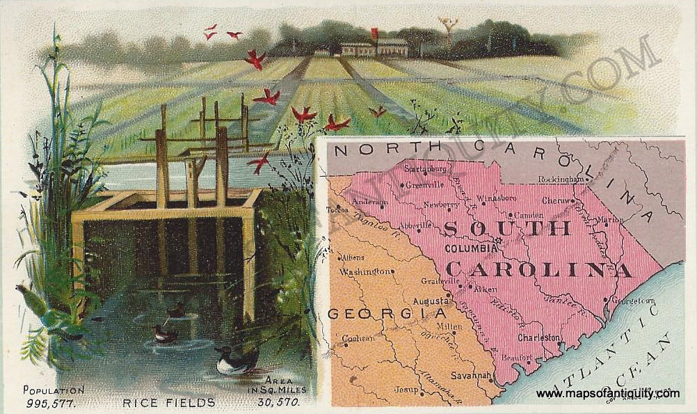 Antique-Chromolithograph-Arbuckle-Print-Prints-South-Carolina-1890-1800s-19th-Century-Maps-of-Antiquity