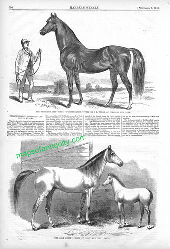 Black-and-White-Antique-Illustration-Thorough-Bred-Horses-in-the-United-States-Antique-Prints-Sports-Prints-1858-Harper's-Weekly-Maps-Of-Antiquity