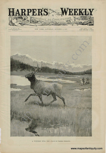 Antique-Print-Prints-Engraved-Engraving-Illustrated-Illustration-A-Wounded-Bull-Elk-Hunting-Hunter-Hunt-Harper's-Weekly-1897-1890s-1800s-Late-19th-Century-Maps-of-Antiquity