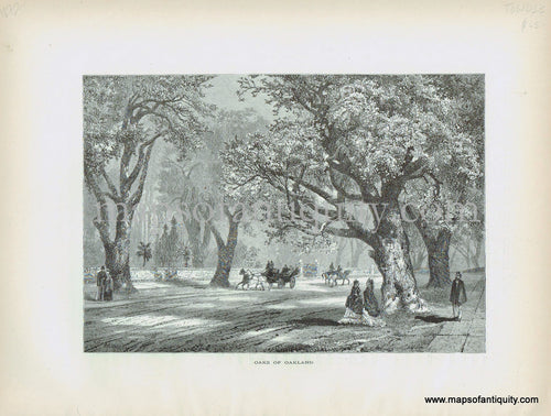 Antique-Print-Prints-Oaks-of-Oakland-California-1872-Appleton-1800s-19th-century-maps-of-Antiquity