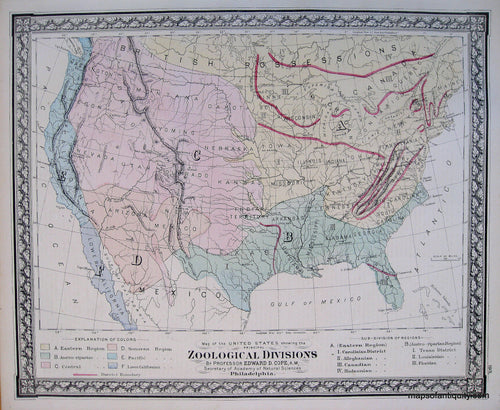 Antique-Hand-Colored-Map-Map-of-the-United-States-showing-the-Principal-Zoological-Divisions-United-States-Natural-History-Map-1876-Gray-Maps-Of-Antiquity