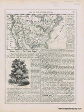 Load image into Gallery viewer, 1848 - Map of the United States - Antique Map
