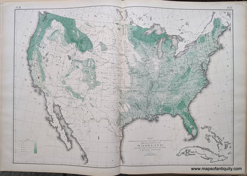 Genuine-Antique-Map-Map-showing-in-Five-Degrees-of-Density-the-Distribution-of-Woodland-within-the-Territory-of-the-United-States-1873.-Compiled-by-Wm.-H.-Brewer.-United-States--1874-Walker-/-Bien-Maps-Of-Antiquity-1800s-19th-century