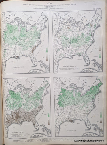 Genuine-Antique-Map-Maps-Showing-the-Range-and-within-the-Range-the-Degree-of-Cultivation-of-Certain-Principal-Crops.-United-States--1874-Walker-/-Bien-Maps-Of-Antiquity-1800s-19th-century