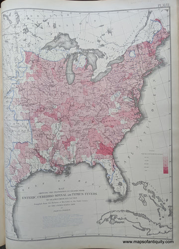 Genuine-Antique-Map-Map-Showing-the-Proportion-of-Deaths-from-Enteric-Cerebro-spinal-and-Typhus-Fevers-to-Deaths-from-All-Causes.-United-States--1874-Walker-/-Bien-Maps-Of-Antiquity-1800s-19th-century