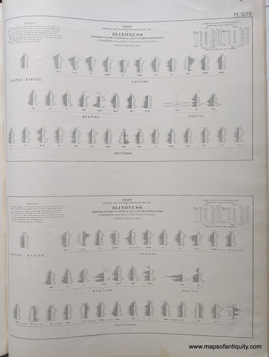 Genuine-Antique-Map-Chart-Showing-the-Distribution-by-Age-and-Sex-of-Blindness-in-1860-and-1870-United-States--1874-Walker-/-Bien-Maps-Of-Antiquity-1800s-19th-century