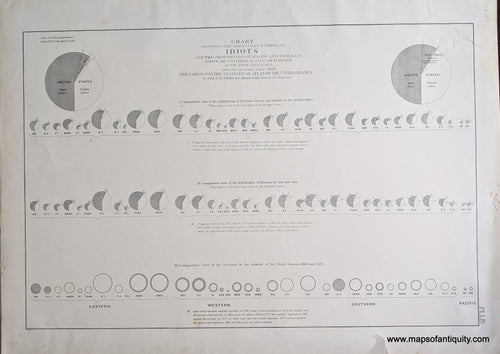 Genuine-Antique-Map-Chart-Showing-the-Aggregate-Number-of-Idiots-and-the-Proportion-of-Males-and-Females-White-Colored-Native-or-ForeignÃ¢â‚¬Â¦-Prepared-for-the-Statistical-Atlas-of-the-United-States-by-Fred-H.-Weiss-Sec'y.-Illinois-State-Board-of-Charities.-United-States--1874-Walker-/-Bien-Maps-Of-Antiquity-1800s-19th-century