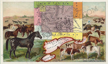 Load image into Gallery viewer, Chromolithograph-Wyoming--United-States-West-1890-Arbuckle-Maps-Of-Antiquity
