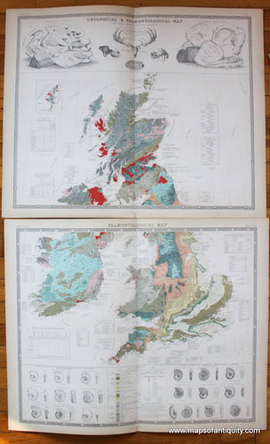 Geological-Palaeontological-Map-of-British-Islands-United-Kingdom-UK-England-Wales-Scotland-Ireland-fossils-Johnston-1856-Antique-Map-1850s-1800s