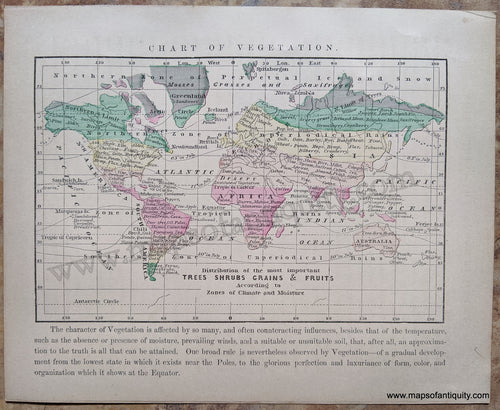 Antique-Hand-Colored-Map-Chart-of-Vegetation-World--1857-Morse-and-Gaston-Maps-Of-Antiquity-1800s-19th-century