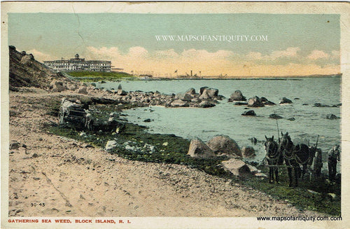 Antique-Colored-Postcard-Gathering-Sea-weed-Block-Island-Rhode-Island---Postcard-Postcard-Rhode-Island-1907-1914-Rhode-Island-Mews-Company-Maps-Of-Antiquity