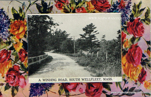 Antique-Colored-Postcard-A-Winding-Road-South-Wellfleet-Mass----Postcard******-Postcard-Cape-Cod-and-Islands-1907-1914-Unknown-Printer-Maps-Of-Antiquity