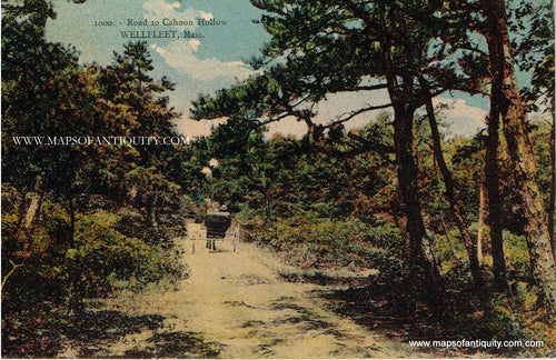Antique-Colored-Postcard-1000.---Road-to-Cahoon-Hollow-Wellfleet-Mass---Postcard-**********-Postcard-Cape-Cod-and-Islands-1907-1914-E.I.Nye-Maps-Of-Antiquity