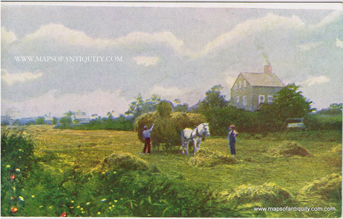 Antique-Postcard-Lily-pond-Meadows-Nantucket